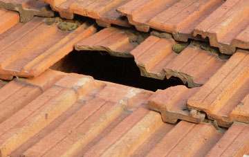 roof repair Worton
